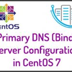 Primary DNS Server Installation and Configuration in CentOS 7 Primary DNS
