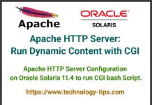 How to run Dynamic Content with CGI Script on Apache Server | Oracle Solaris 11